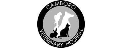 Camboro Veterinary Hospital-FooterLogo